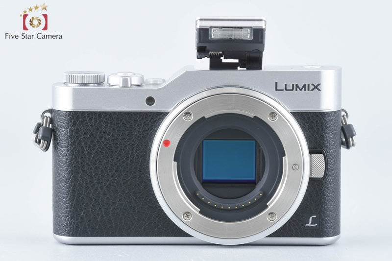 Panasonic LUMIX G DC-GF9W Silver Double Lens Kit (Japanese Language Only)
