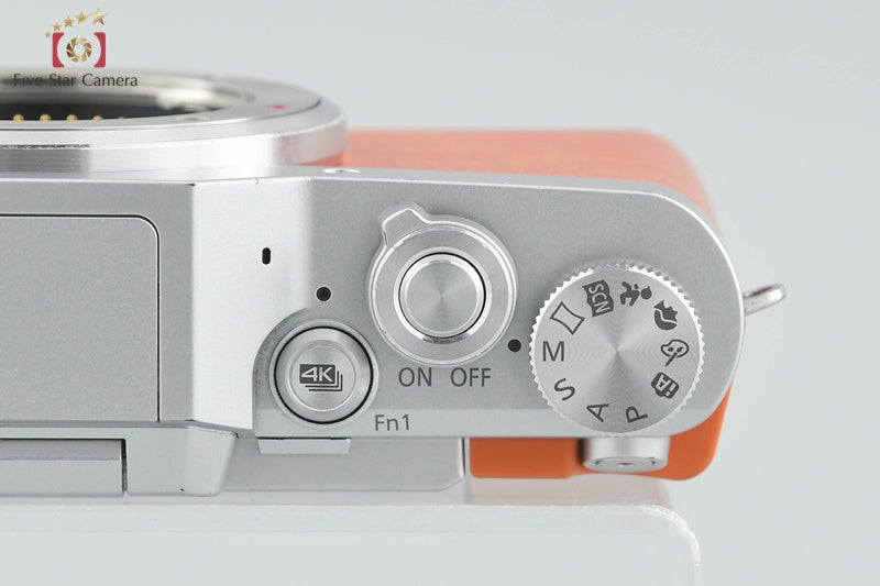 Panasonic LUMIX G DC-GF9W Orange Double Lens Kit (Japanese Language Only)