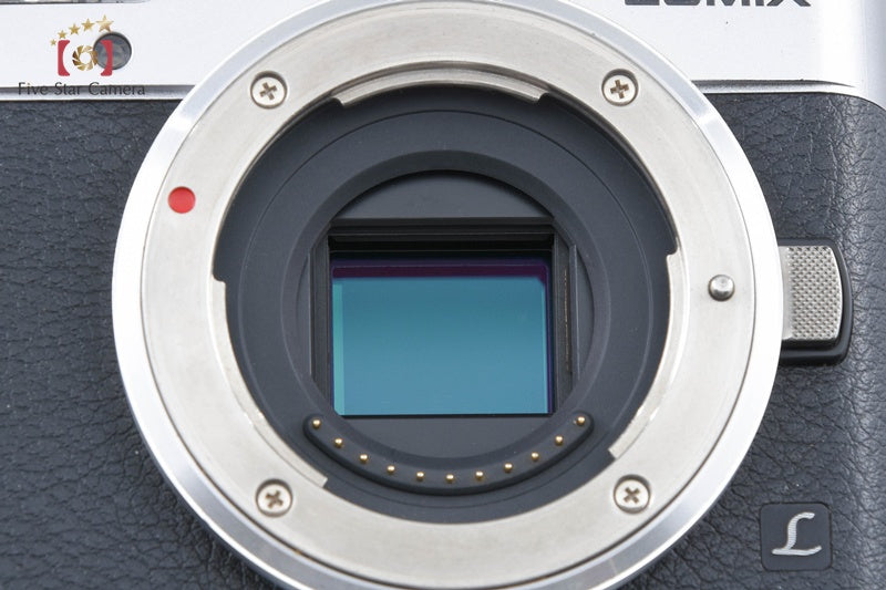 Panasonic LUMIX DC-GF9 Silver Double Lens Kit (Japanese Language Only)