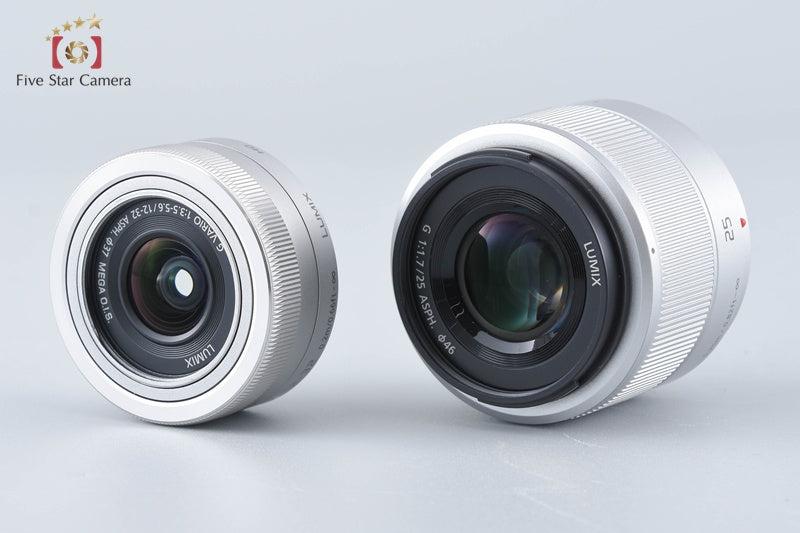 Panasonic LUMIX DC-GF9 Silver Double Lens Kit (Japanese Language Only)