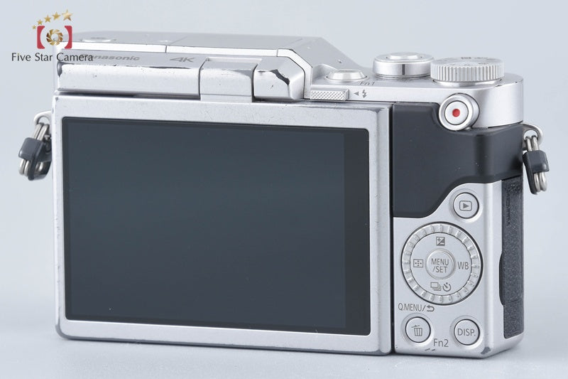 Panasonic LUMIX DC-GF9 Silver Double Lens Kit (Japanese Language Only)