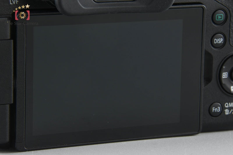 Panasonic LUMIX DMC-FZ300 Black Compact Digital Camera (Japanese Language Only)