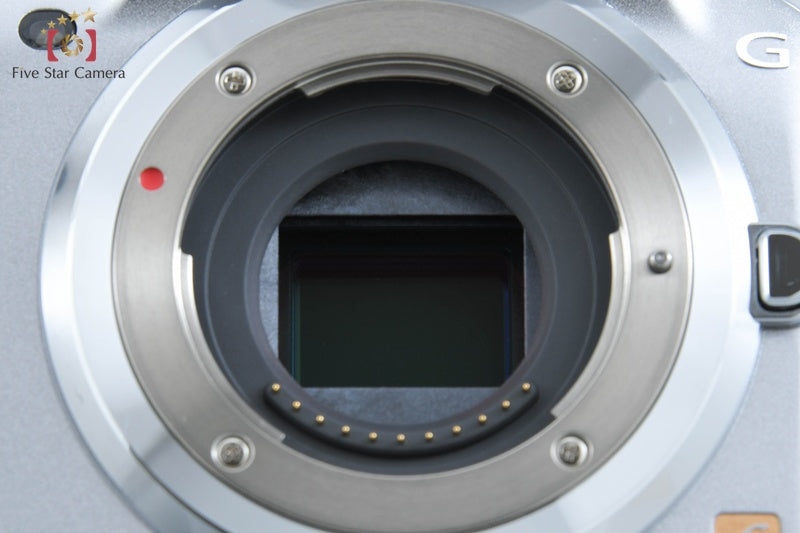 Panasonic LUMIX DMC-G5 Silver Mirrorless Camera (Japanese Language Only)