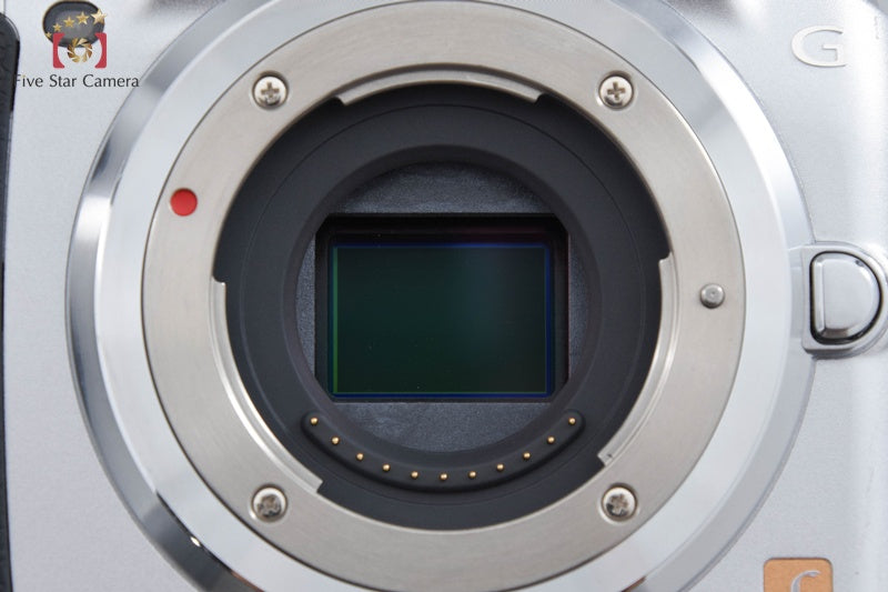 Panasonic LUMIX DMC-G5W Silver Double Zoom Lens Kit (Japanese Language Only)