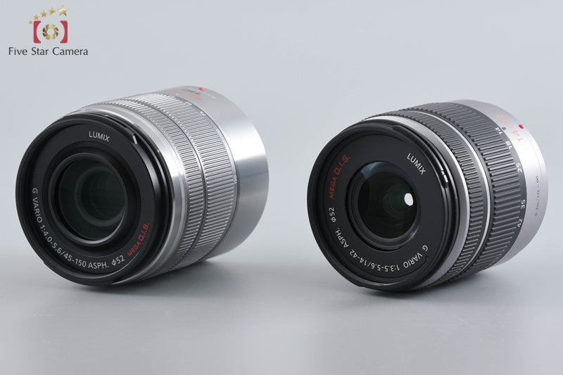 Panasonic LUMIX DMC-G5W Silver Double Zoom Lens Kit (Japanese Language Only)