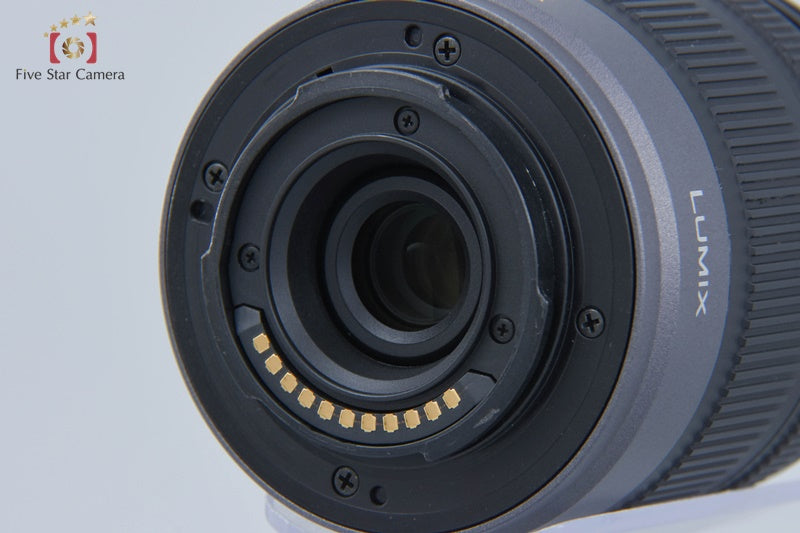 Panasonic LUMIX DMC-GF2 White + LUMIX G VARIO 14-42 (Japanese Language Only)