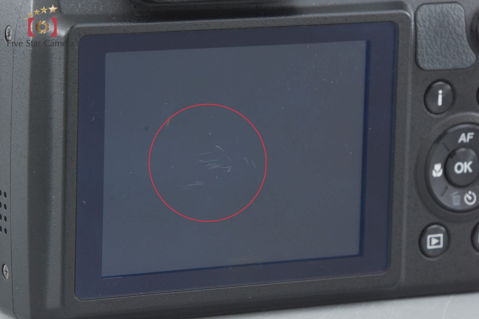 PENTAX XG-1 16.0 MP Digital Camera