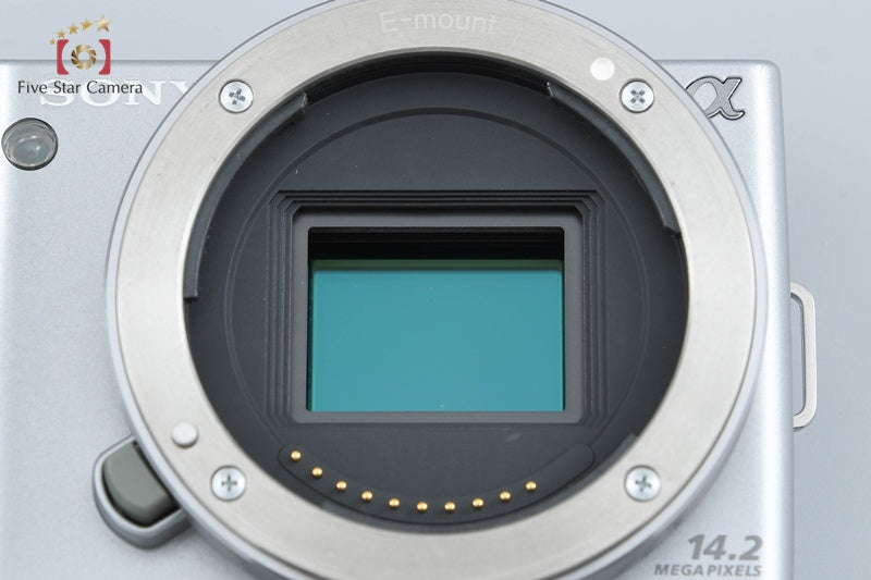 Sony α NEX-5 Double Lens Kit Silver (Japanese Language Only)