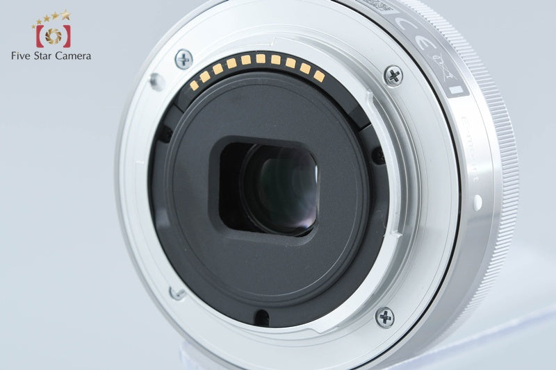 Sony α NEX-5 Double Lens Kit Silver (Japanese Language Only)