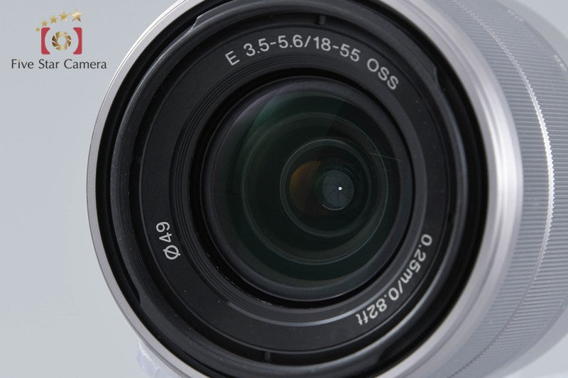 Sony α NEX-5 Gold + E 18-55mm f/3.5-5.6 OSS SEL1855 (Japanese Language Only)