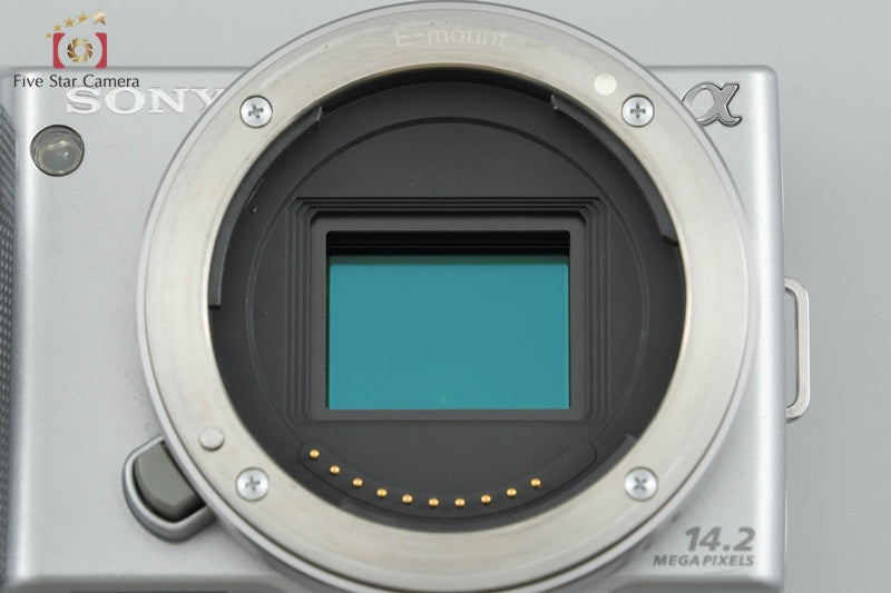 Sony α NEX-5 Double Zoom Lens Kit Silver (Japanese Language Only)