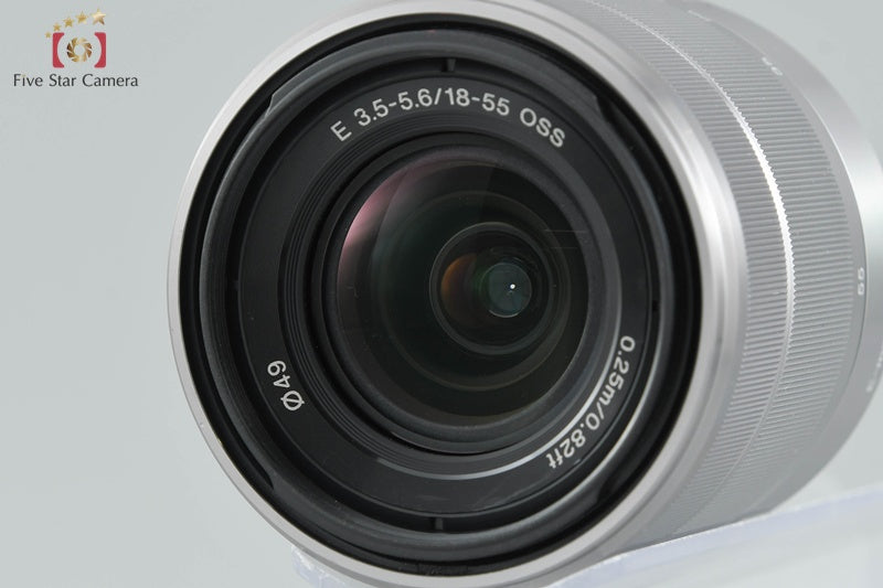 Sony α NEX-5 Double Zoom Lens Kit Silver (Japanese Language Only)