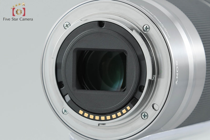 Sony α NEX-5 Double Zoom Lens Kit Silver (Japanese Language Only)