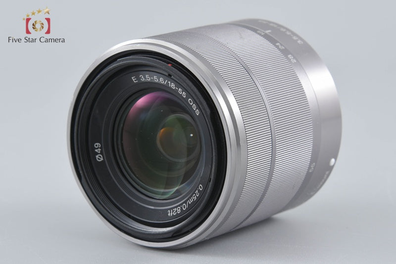 Sony α NEX-5 Zoom Lens Kit Silver (Japanese Language Only)