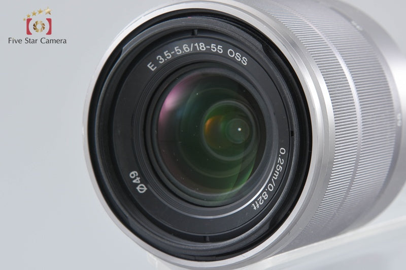 Sony α NEX-5 Zoom Lens Kit Silver (Japanese Language Only)