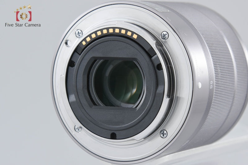 Sony α NEX-5 Zoom Lens Kit Silver (Japanese Language Only)