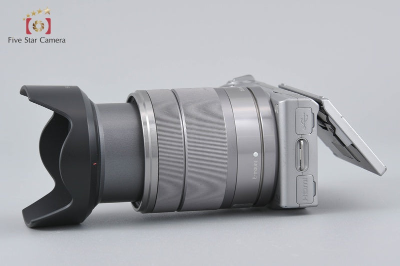 Sony α NEX-5 Zoom Lens Kit Silver (Japanese Language Only)
