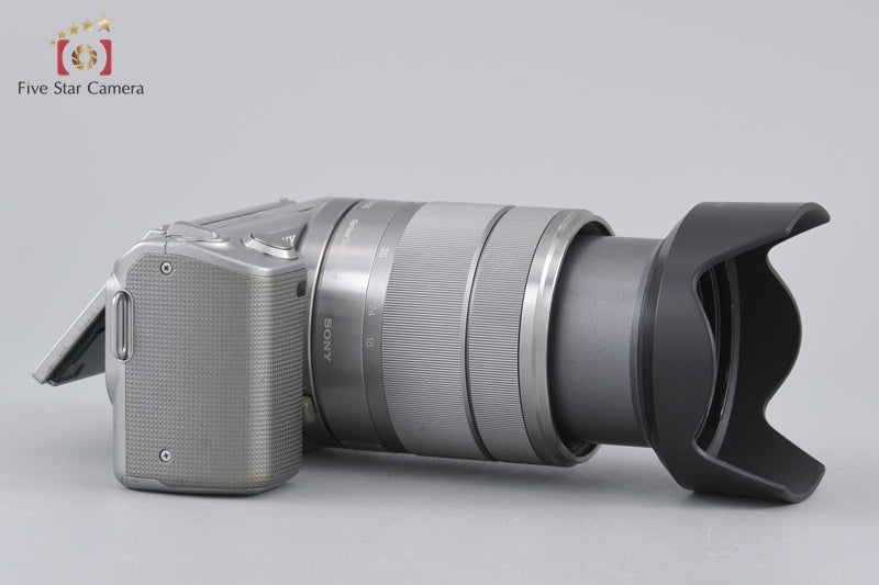 Sony α NEX-5 Zoom Lens Kit Silver (Japanese Language Only)