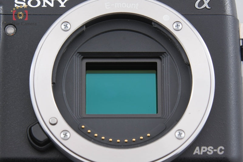 Sony α NEX-6 Power Zoom Lens Kit Black (Japanese Language Only)