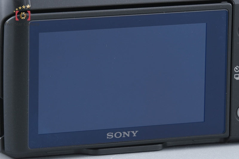 Sony α NEX-F3 Zoom Lens Kit Black (Japanese Language Only)