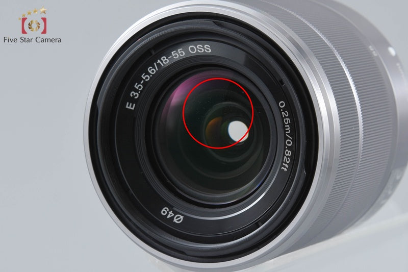 Sony α NEX-F3 Double Zoom Lens Kit Pink (Japanese Language Only)