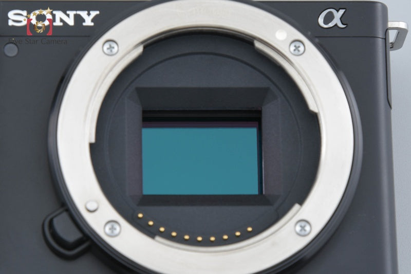 SONY α VLOGCAM ZV-E10Y Double Zoom Lens Kit Black (Japanese Language Only)