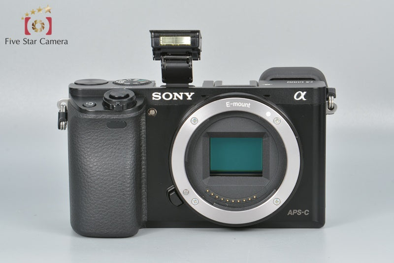 SONY α6000 ILCE-6000L Power Zoom Lens Kit Black