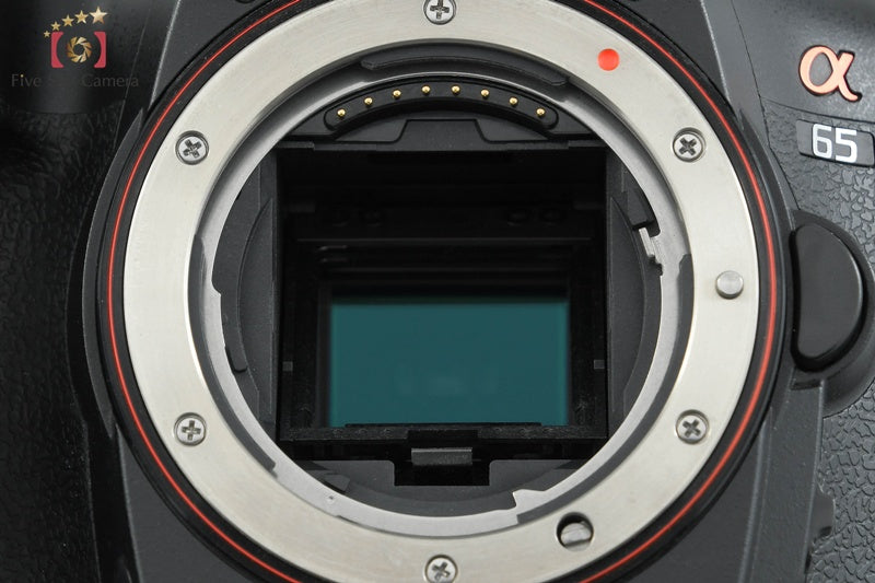 Sony α65 SLT-A65V Double Zoom Lens Kit (Japanese Language Only)