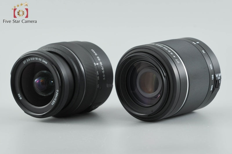 Sony α65 SLT-A65V Double Zoom Lens Kit (Japanese Language Only)