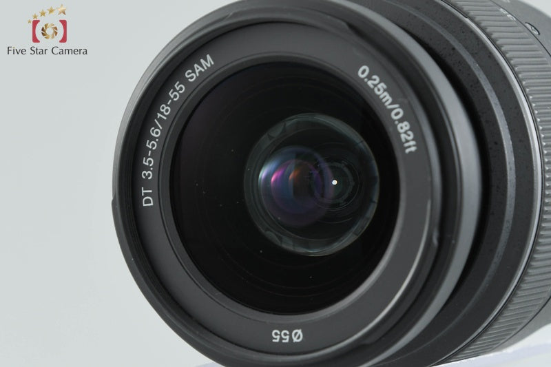 Sony α65 SLT-A65V Double Zoom Lens Kit (Japanese Language Only)