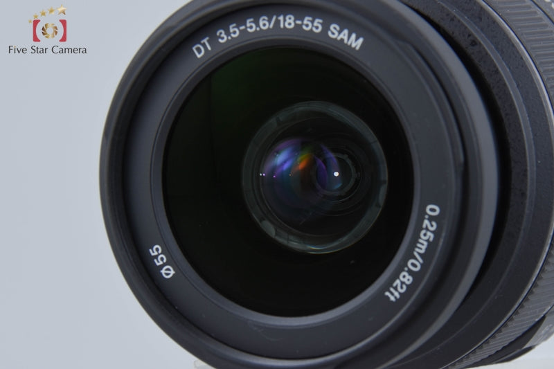 Sony α65 SLT-A65VK Zoom Lens Kit (Japanese Language Only)