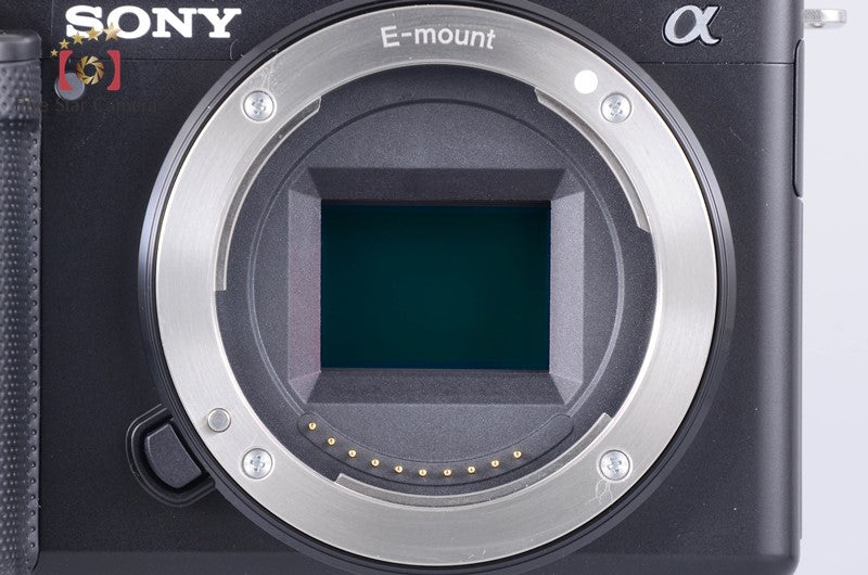 Sony α VLOGCAM ZV-E10Y Double Zoom Kit Black (Japanese Language Only)