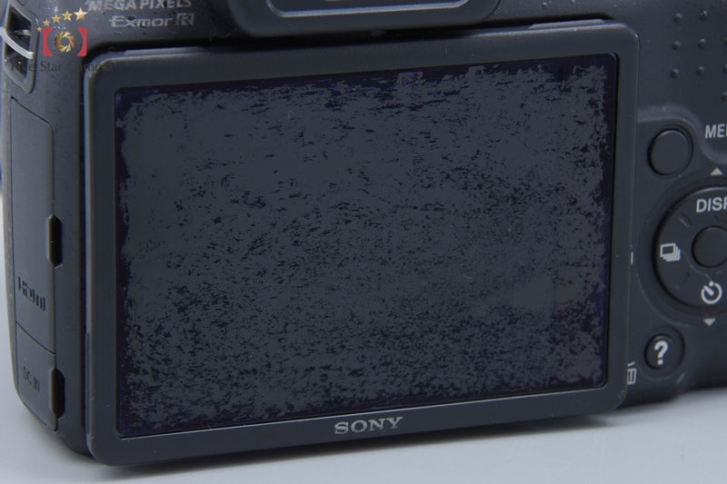 Sony Cyber-shot DSC-HX100V digital still camera (Japanese Language Only)