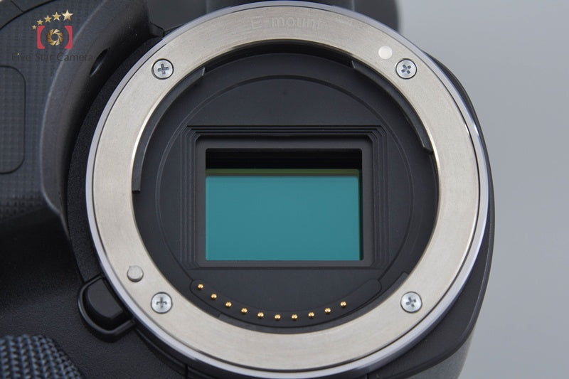 Sony NEX-VG10 Video Camera Recorder (Japanese Language Only)