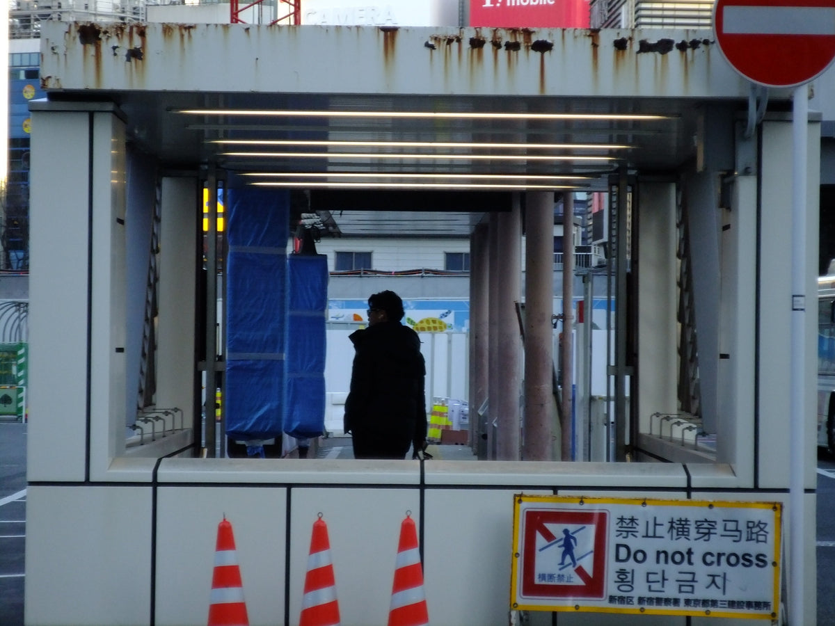 [With Sample Photos] Drawing the Start of Night at Shinjuku's West Exit with the FUJIFILM FinePix Z800EXR