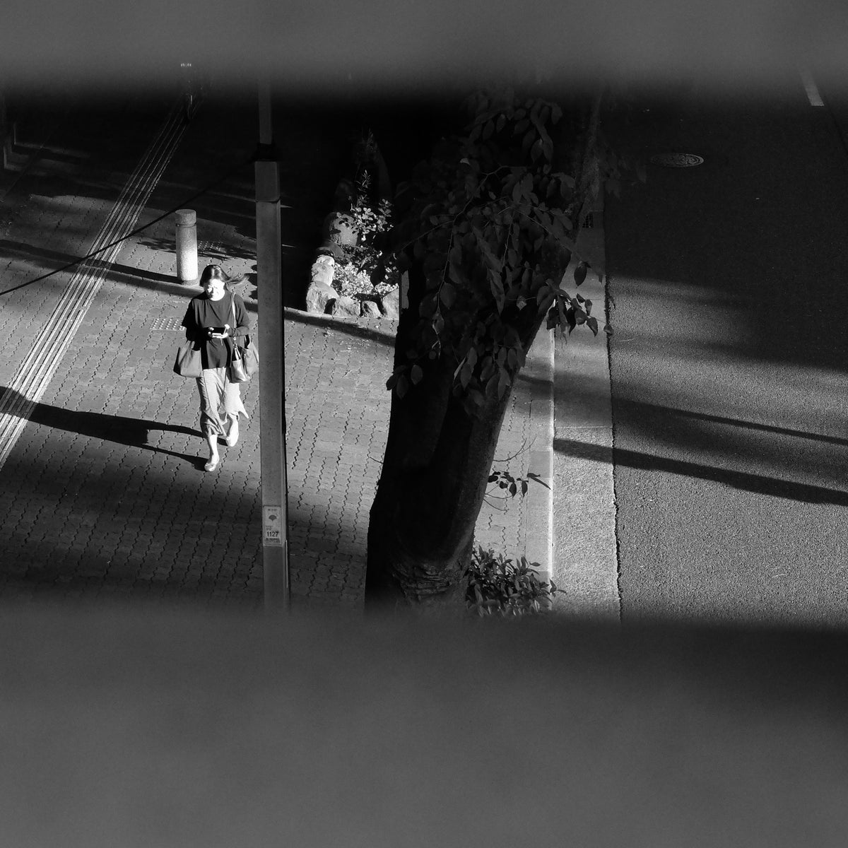[With Sample Photos] The Luxury of Shooting Only in Monochrome: FUJIFILM X20