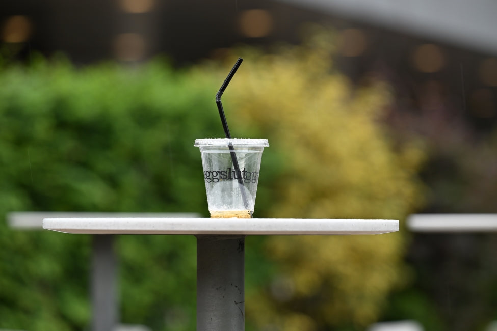 [Review & Sample Photos] Everyday Life Captured with the Nikon Z9 + NIKKOR Z 70-200mm f/2.8 VR S: The Ultimate in Expression and Shooting Joy