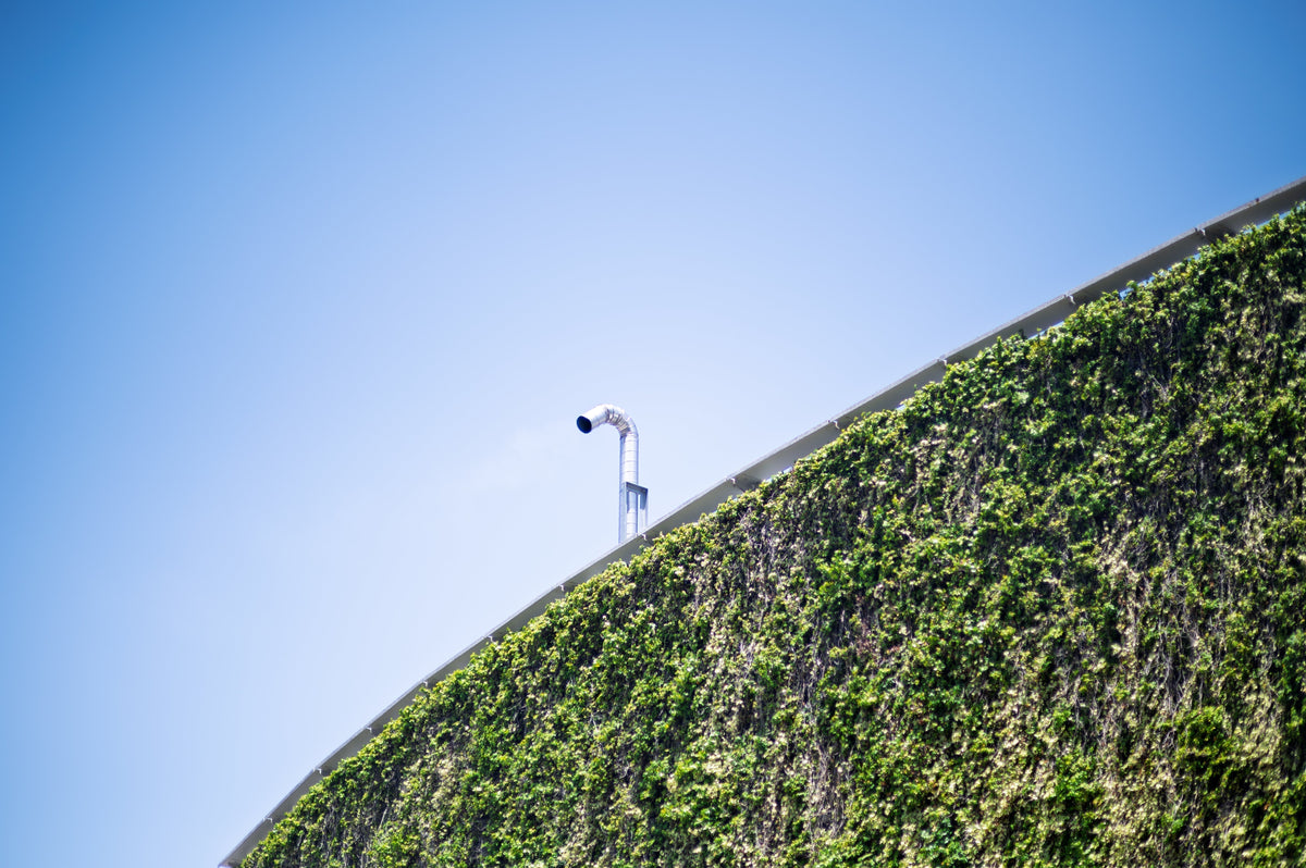 [With Sample Photos] The Weight of a Lens Is the Weight of Excitement: Early Summer Walk with the Nikon Z6II and CONTAX Carl Zeiss Planar 85mm f/1.2 T* MMG