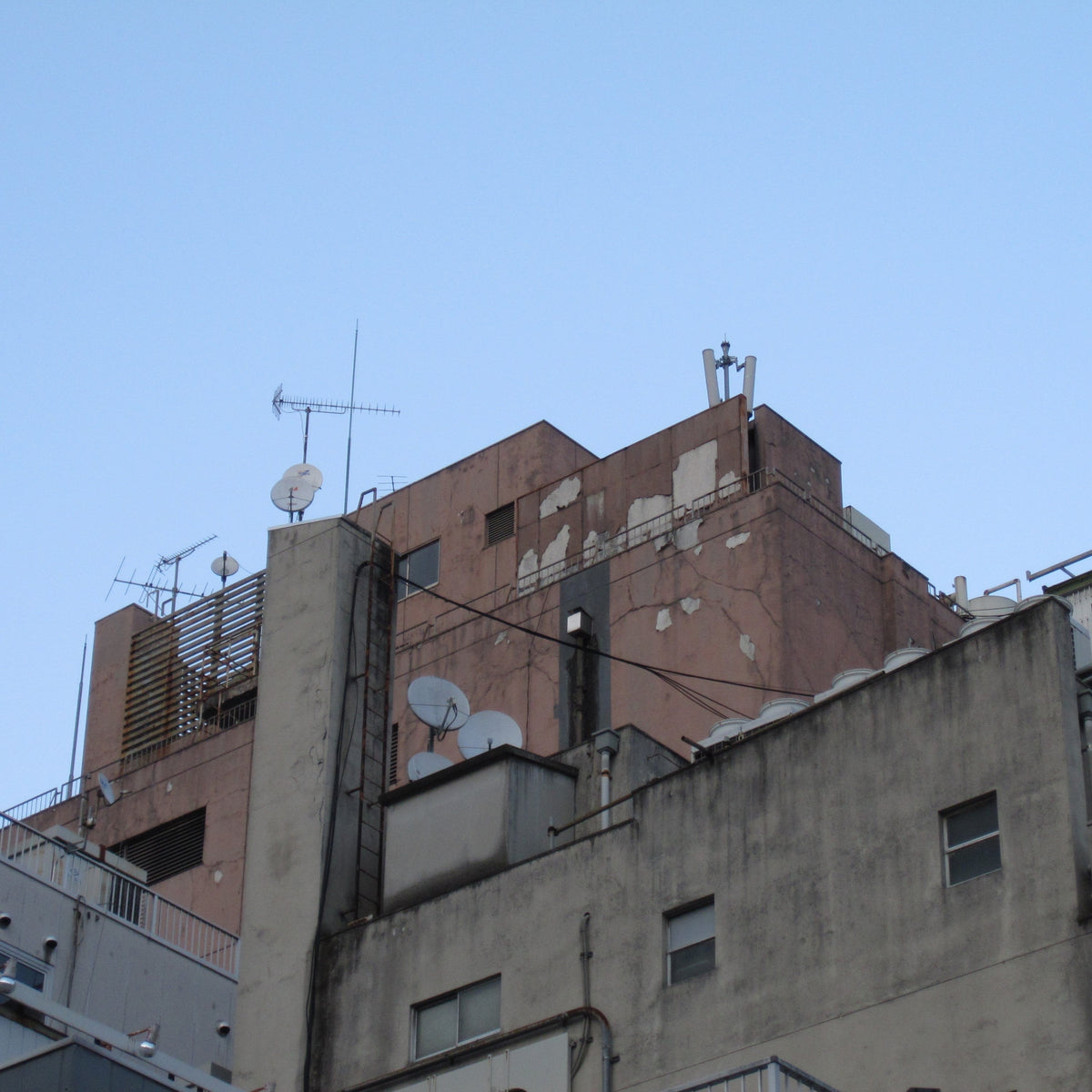 [With Sample Photos] Not Quite Being Able to Get Close Is Just Right: Capturing Everyday Life with the Canon IXY DIGITAL 210 IS