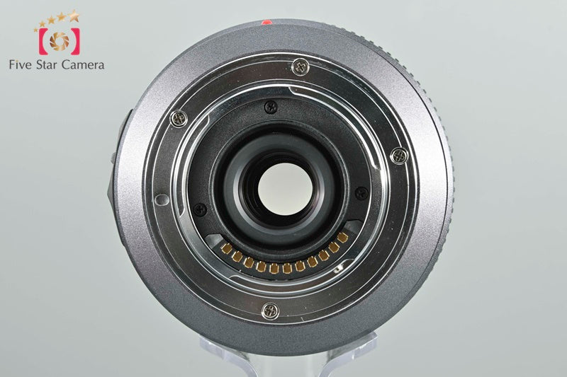 Panasonic LUMIX G VARIO 14-140mm f/4-5.8 ASPH. MEGA O.I.S H-VS014140