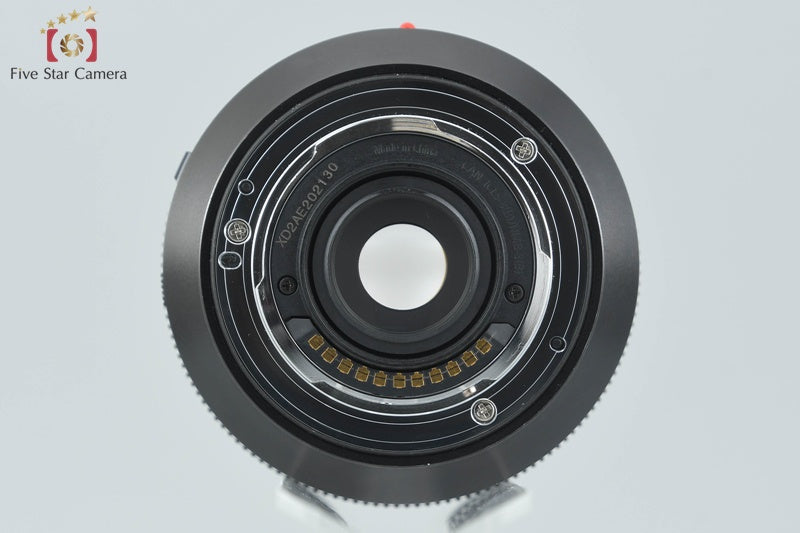 Panasonic LUMIX G LEICA DG VARIO-ELMARIT 12-60mm f/2.8-4 ASPH. H-ES12060