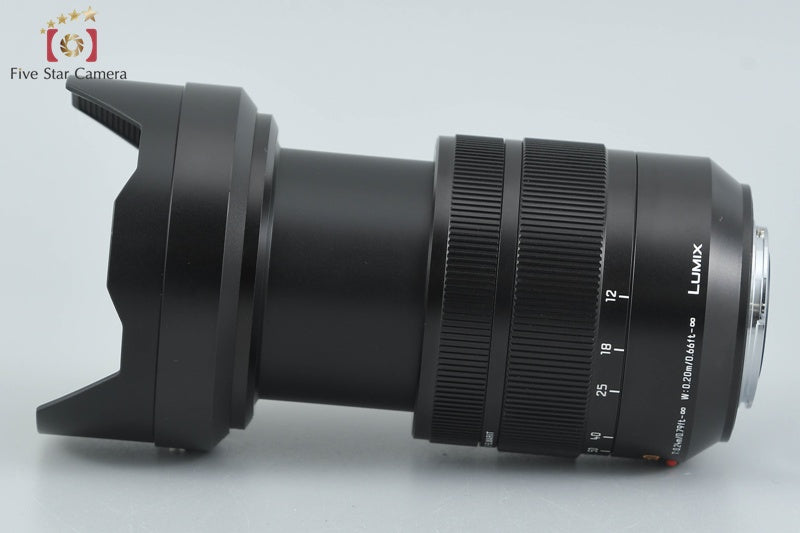 Panasonic LUMIX G LEICA DG VARIO-ELMARIT 12-60mm f/2.8-4 ASPH. H-ES12060