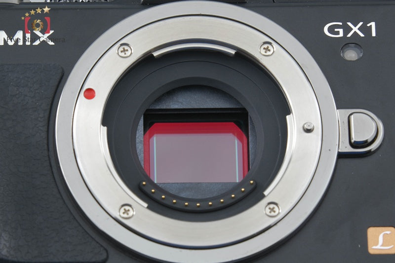 Panasonic LUMIX DMC-GX1 Esprit Black 16.0 MP 14-42 Lens [Japanese Language Only]