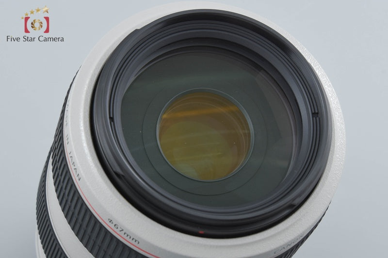 Canon EF 70-300mm f/4-5.6 L IS USM
