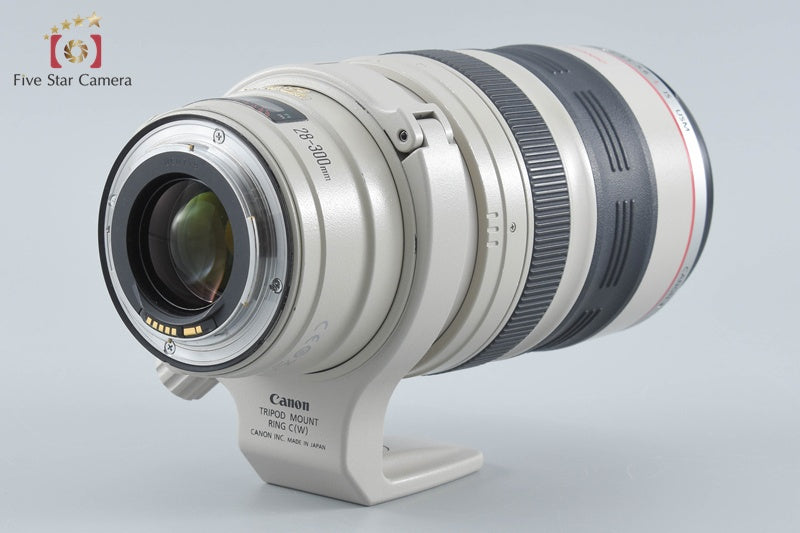 Canon EF 28-300mm f/3.5-5.6 L IS USM