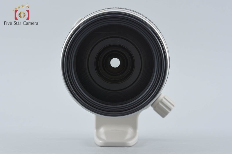 Canon EF 28-300mm f/3.5-5.6 L IS USM