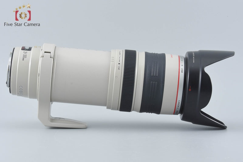 Canon EF 28-300mm f/3.5-5.6 L IS USM