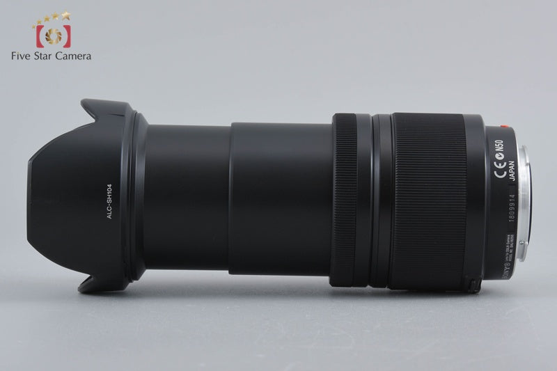 Sony DT 18-250mm f/3.5-6.3 SAL18250 Sony A Mount Lens
