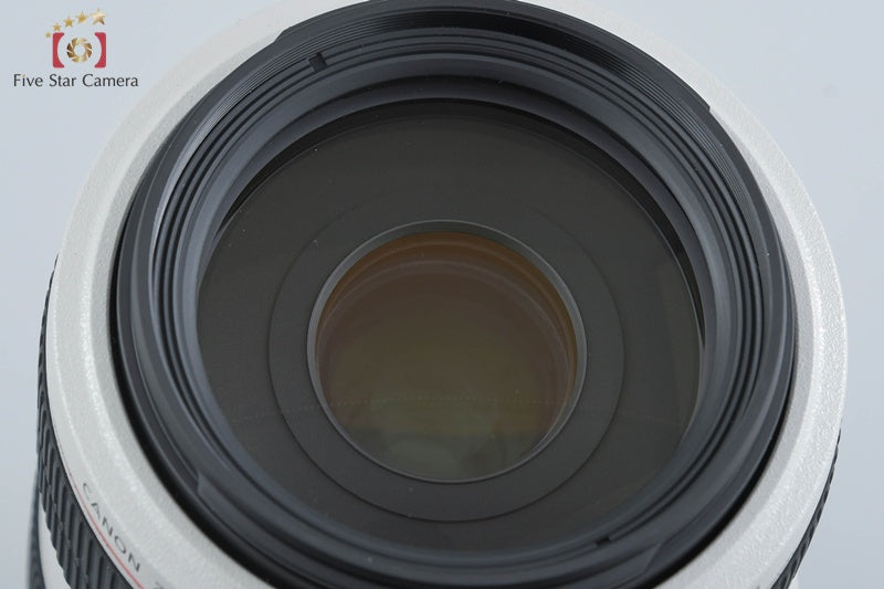 Canon EF 70-300mm f/4-5.6 L IS USM w/ Box