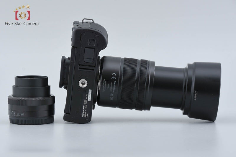 Panasonic LUMIX DC-G100DW 20.3 MP Digital Camera 12-32 45-150 Lenses w/ Box